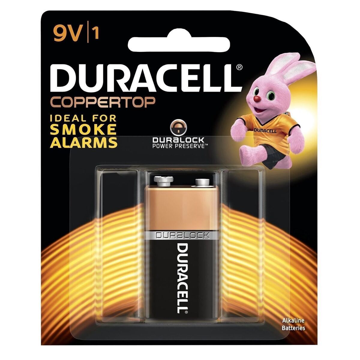 Batteries Rechargeables Multi-usage - Duracell Direct fr