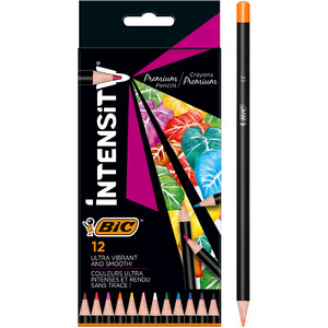 BIC Set of 3 Cases of 12 Mines for Criterium 0.7mm HB : : Office  Products